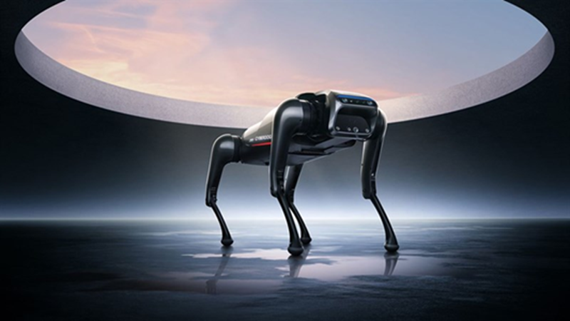 Khi chó thật đụng độ... chó Robot