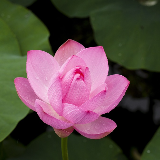 Khởi nghiệp xanh: Cơ hội và thách thức trong Kỷ nguyên số